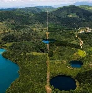 Meet your Posher, Edy